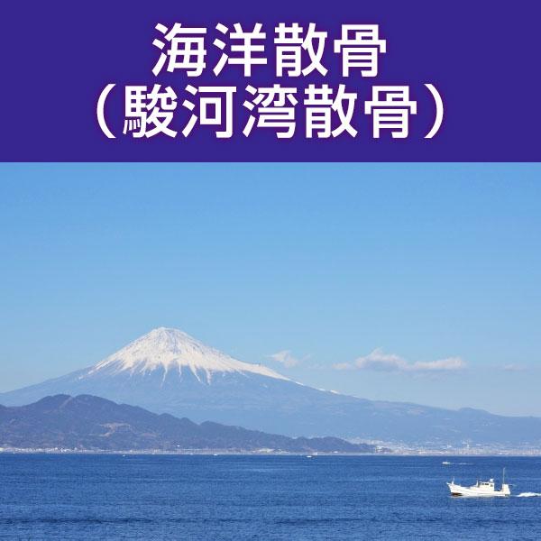 ■サービス内容・散骨をされたいお骨を弊社指定の散骨（取引）先さんへ送骨し、散骨をするサービスです。※指定の散骨（取引）先さんについては、下部へ記載しております。・粉骨込みのサービスとなっております。・表記金額以外には、追加費用が発生すること...