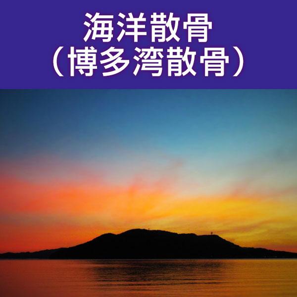 ■サービス内容・散骨をされたいお骨を弊社指定の散骨（取引）先さんへ送骨し、散骨をするサービスです。※指定の散骨（取引）先さんについては、下部へ記載しております。・粉骨込みのサービスとなっております。・表記金額以外には、追加費用が発生すること...