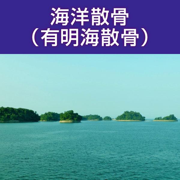 ■サービス内容・散骨をされたいお骨を弊社指定の散骨（取引）先さんへ送骨し、散骨をするサービスです。※指定の散骨（取引）先さんについては、下部へ記載しております。・粉骨込みのサービスとなっております。・表記金額以外には、追加費用が発生すること...