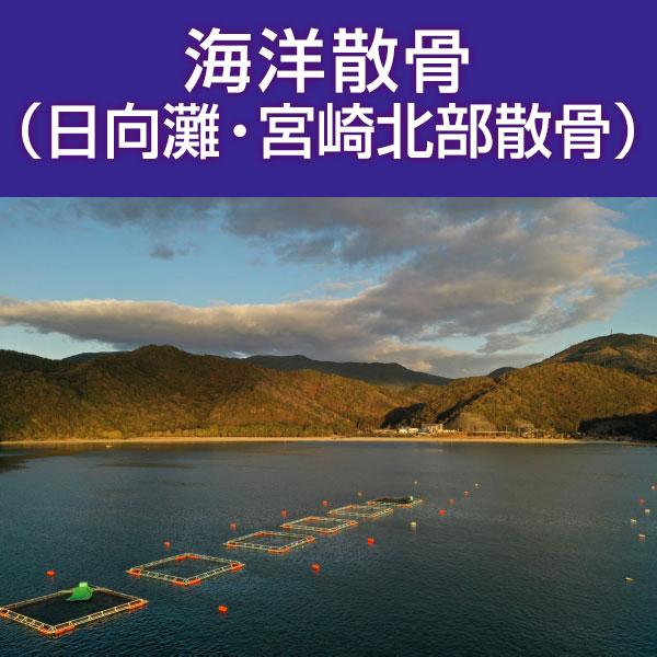 ■サービス内容・散骨をされたいお骨を弊社指定の散骨（取引）先さんへ送骨し、散骨をするサービスです。※指定の散骨（取引）先さんについては、下部へ記載しております。・粉骨込みのサービスとなっております。・表記金額以外には、追加費用が発生すること...