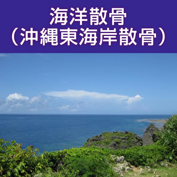 ■サービス内容・散骨をされたいお骨を弊社指定の散骨（取引）先さんへ送骨し、散骨をするサービスです。※指定の散骨（取引）先さんについては、下部へ記載しております。・粉骨込みのサービスとなっております。・表記金額以外には、追加費用が発生すること...