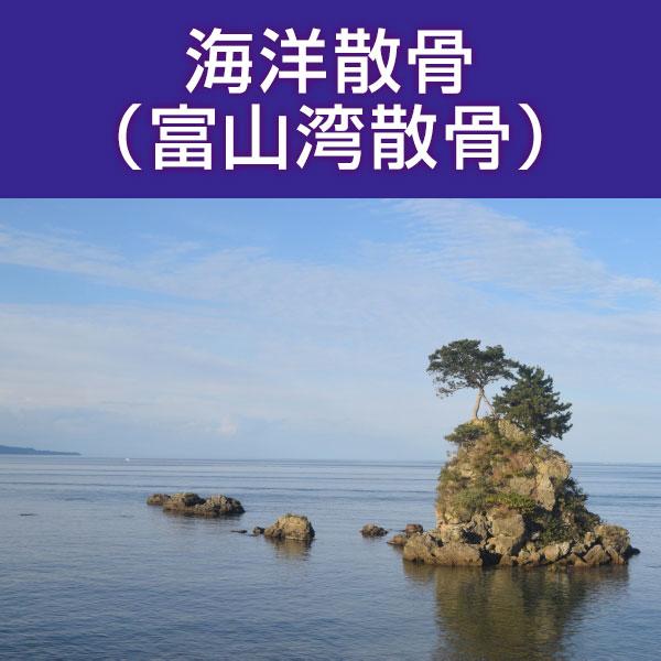 ■サービス内容・散骨をされたいお骨を弊社指定の散骨（取引）先さんへ送骨し、散骨をするサービスです。※指定の散骨（取引）先さんについては、下部へ記載しております。・粉骨込みのサービスとなっております。・表記金額以外には、追加費用が発生すること...
