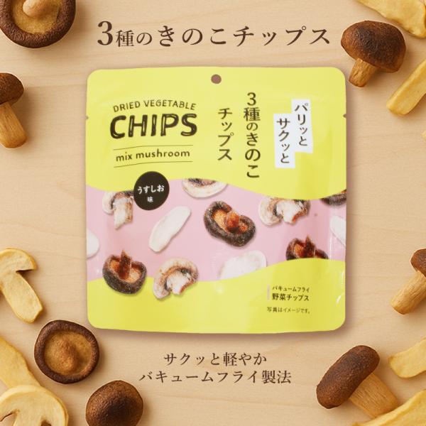 3種のきのこチップス しいたけ えりんぎ マッシュルーム 5袋 バキュームフライ製法 おやつ スナック 夏休み 野菜おやつ ミニサイズ