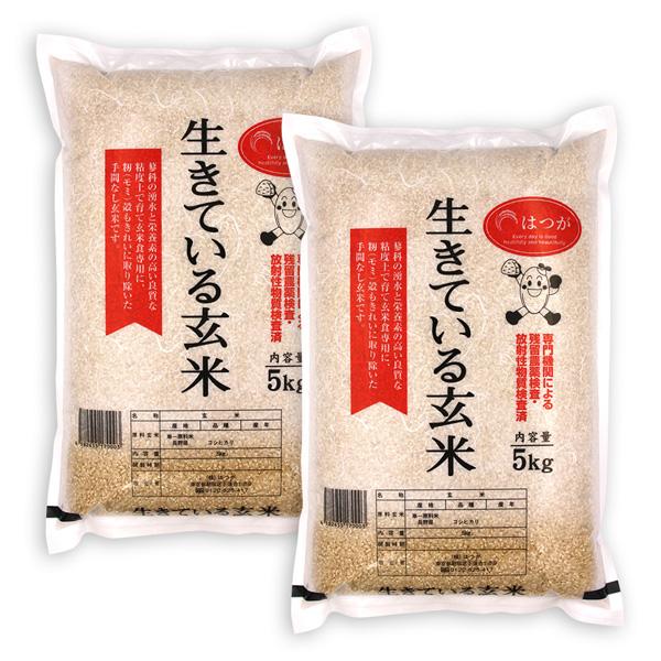 生きている玄米 10kg(5kgx2) 令和3年産 玄米