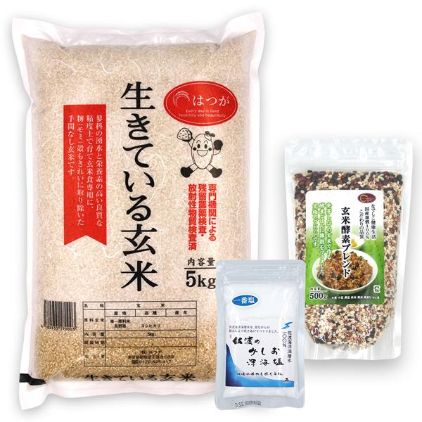 玄米酵素ごはんセットＢ(玄米酵素ブレンド500g + 天然塩50g + 生きている玄米5kg) 令和7年産