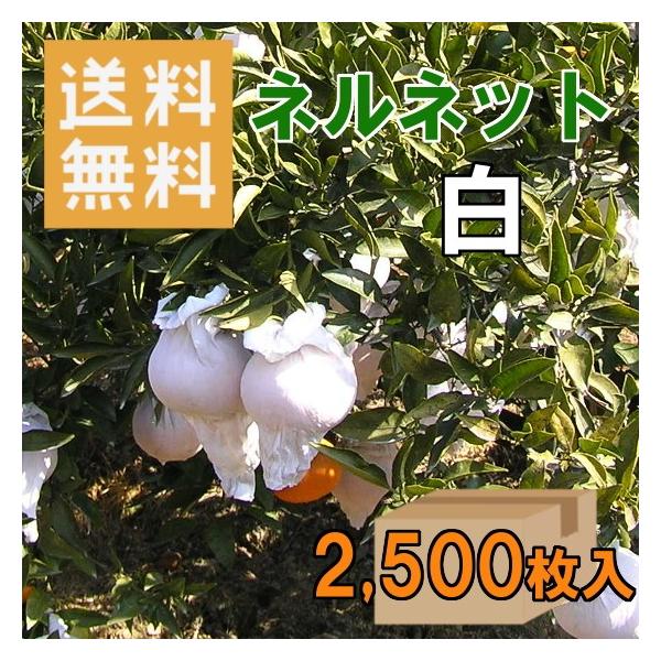  2,500 llbg 񂫂p XgbLO^Cv ʎ K-21 ʎ| | F{Xi594-20005-2500j