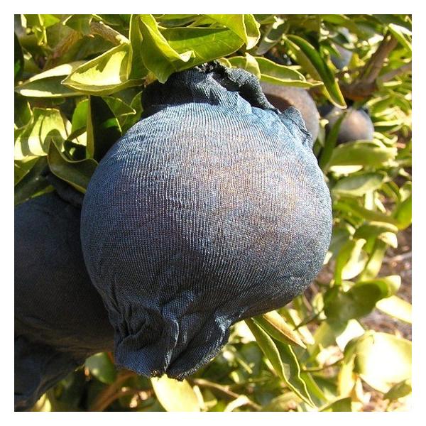  500 llbgij K-222  ӊp ʎ XgbLO^Cv| | F{Xi594-200061-500j-