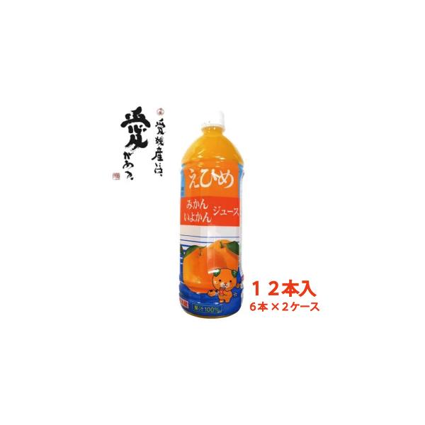 12{Zbg Ђ ݂E悩  W[X 1000ml×12{ | Ђ߈ [ܖF2026N518]i124-B15110-2j