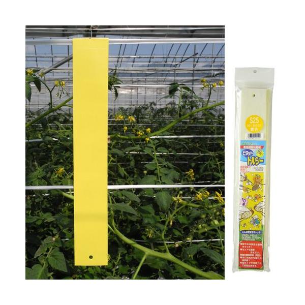 QߊlS r^bg gV[S25P  5×35cm 25/ | F{Xi101-99001j