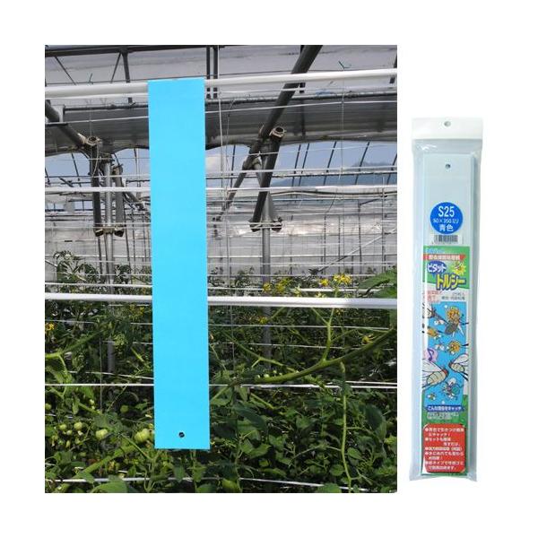 QߊlS r^bg gV[S25P  5×35cm 25/×24 | F{Xi101-99003-24j