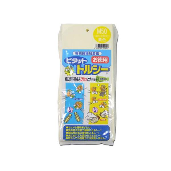 QߊlS r^bg gV[M50P  10×23cm 50/×12 | F{Xi311-B2401-12j