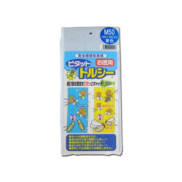 QߊlS r^bg gV[M50P  10×23cm 50/×12 | F{Xi311-B2402-12j