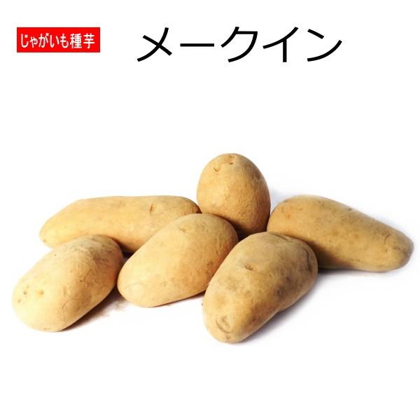 −特徴 − イモの収量は、男爵よりも多い。食味は極めて優秀だが、多肥栽培では食味が低下するので注意しましょう。　熟期：中生　サイズ：中　形状：長楕円　休眠：中　作型：春　皮色：白黄　肉色：白　肉質：粘質系　お勧め料理：カレー・シチュー  −...