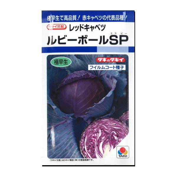 赤キャベツ 種子 ルビーボールＳＰ 130粒 キャベツ