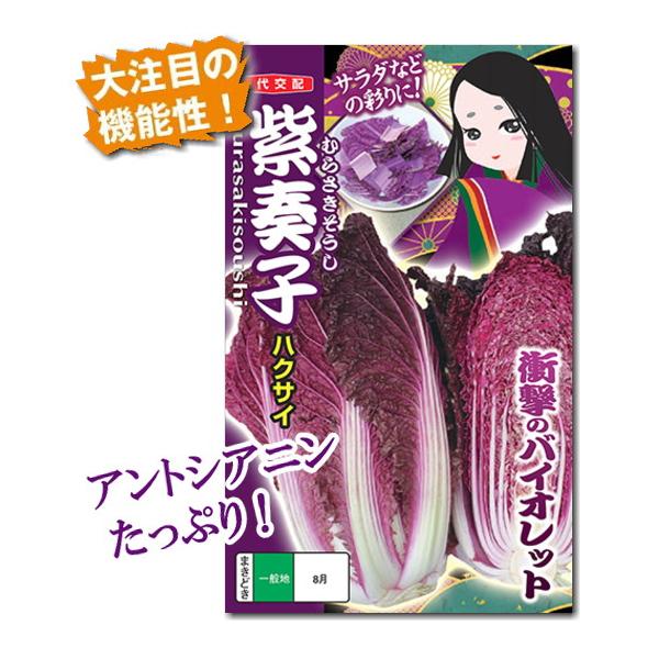 紫白菜 種子 紫奏子 40粒