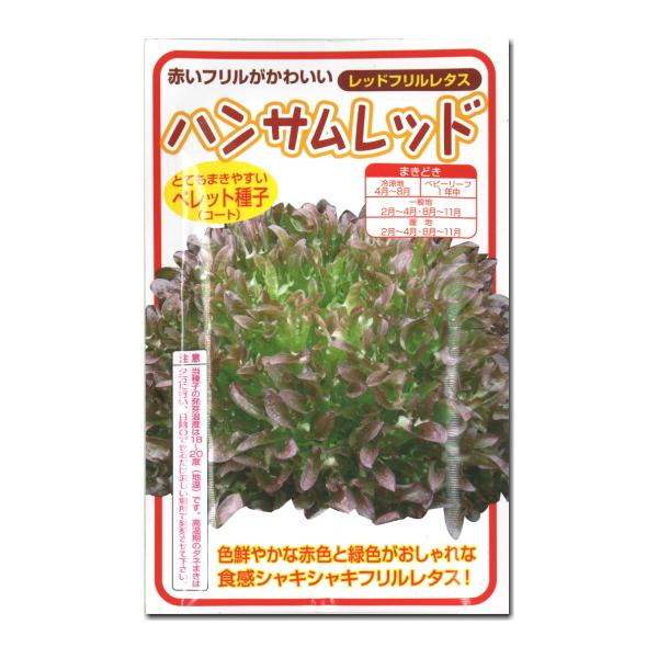レタス 種子 ハンサムレッド レッド フリルレタス 100粒