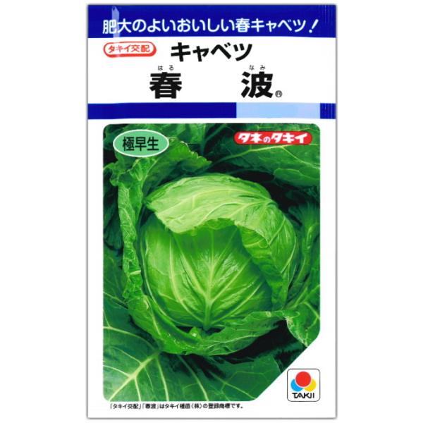 キャベツ 種子 春波 1.2ml