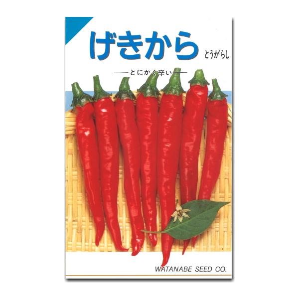 ★小袋種子の配送便と送料についてお願い小袋種子のみのご注文は、メール便にて全国一律180円で送付させて頂きます。ご注文時から概ね３日間ほどで出荷します。 代引き・着日時間指定は出来ませんので、予めご了承願います。
