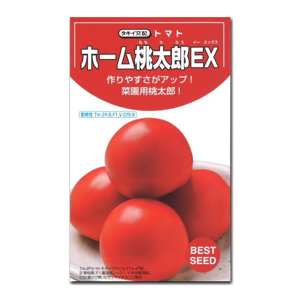 大玉トマト 種子 ホーム桃太郎ＥＸ 29粒 とまと