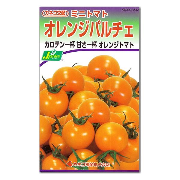 ミニトマト 種子 オレンジパルチェ 12粒 とまと