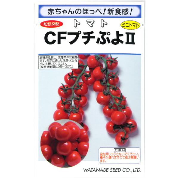★小袋種子の配送便と送料についてお願い小袋種子のみのご注文は、メール便にて全国一律180円で送付させて頂きます。ご注文時から概ね３日間ほどで出荷します。 代引き・着日時間指定は出来ませんので、予めご了承願います。
