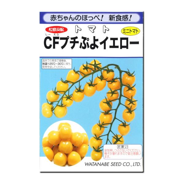 ★小袋種子の配送便と送料についてお願い小袋種子のみのご注文は、メール便にて全国一律180円で送付させて頂きます。ご注文時から概ね３日間ほどで出荷します。 代引き・着日時間指定は出来ませんので、予めご了承願います。