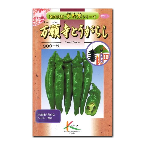 万願寺とうがらしの栽培方法 レシピ 菜園のプロ監修 人気の京野菜の育て方を徹底解説 農業 ガーデニング 園芸 家庭菜園マガジン Agri Pick