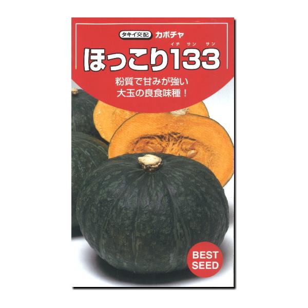 カボチャ 南瓜 種子 ほっこり１３３   9粒 かぼちゃ