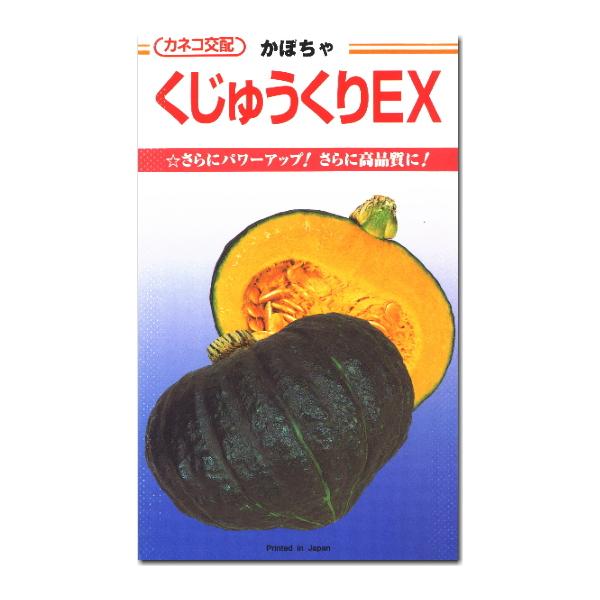 カボチャ 南瓜 種子 くじゅうくりEX 9粒 かぼちゃ