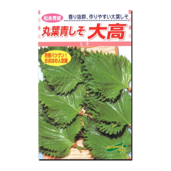 しそ 種子 丸葉青しそ 大高 20ml シソ