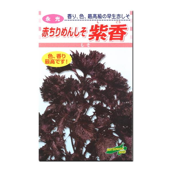 ★小袋種子の配送便と送料についてお願い小袋種子のみのご注文は、メール便にて全国一律200円で送付させて頂きます。ご注文時から概ね３日間ほどで出荷します。 代引き・着日時間指定は出来ませんので、予めご了承願います。
