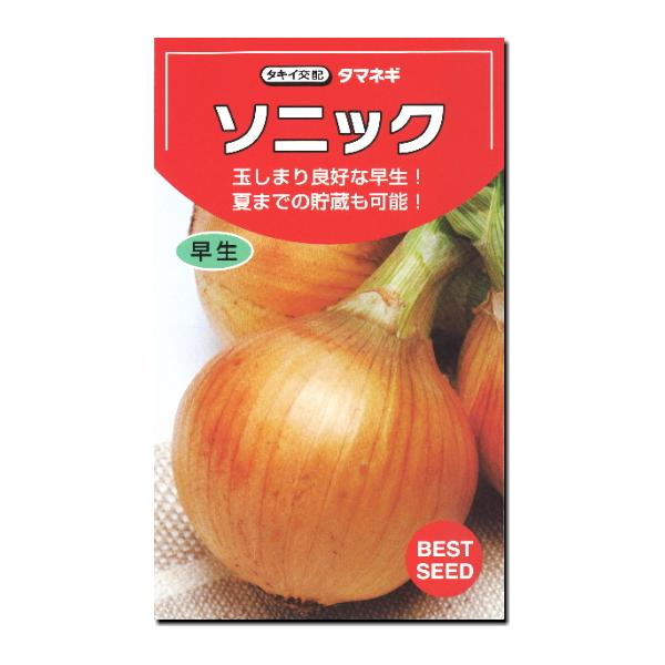 タマネギ 種子 ソニック 4.5ｍｌ 玉ねぎ
