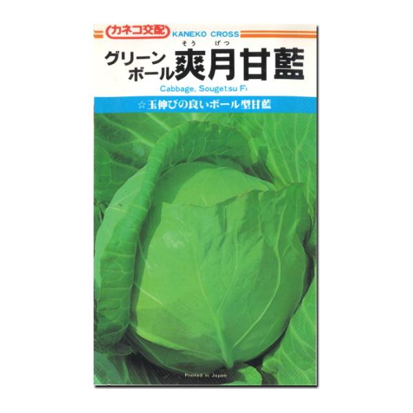 キャベツ 種子 グリーンボール 爽月甘藍 1.1ml