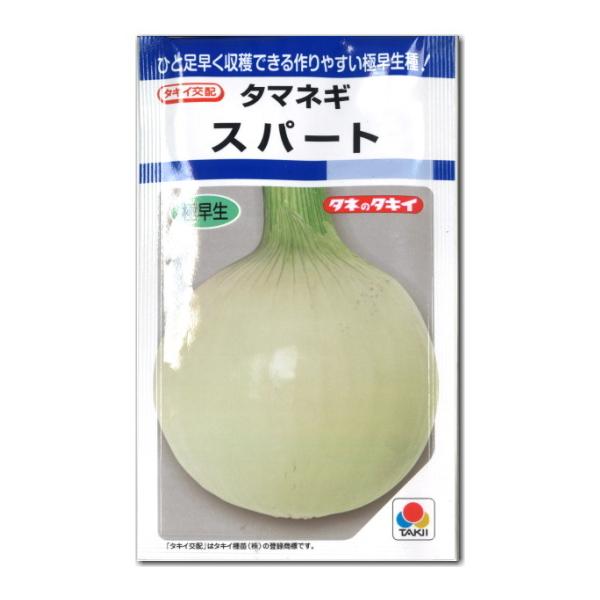 タマネギ 種子 スパート 3.5ｍｌ 玉ねぎ