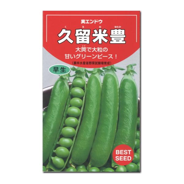 グリーンピース 種子 久留米豊 くるめゆたか 実えんどう 45ml