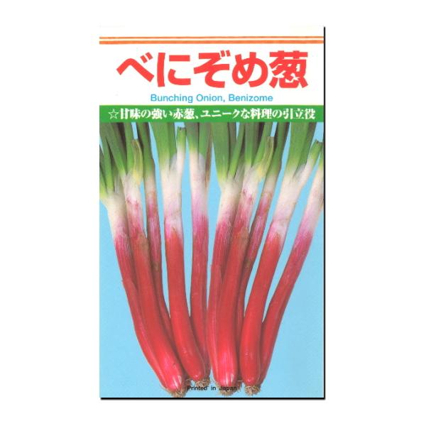 ネギ 種子 べにぞめ 20ml ねぎ