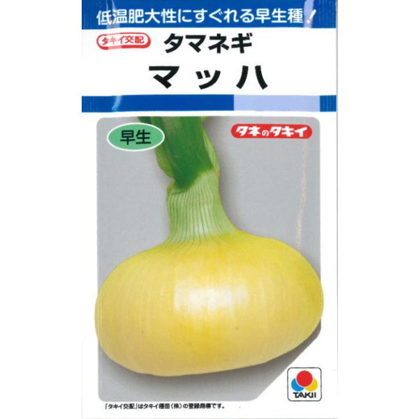 タマネギ 種子 マッハ 4.5ml 玉ねぎ