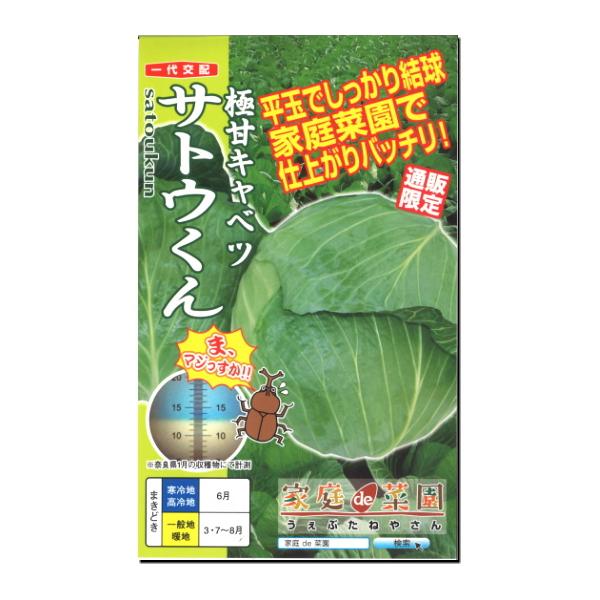 キャベツ 種子 サトウくん 40粒
