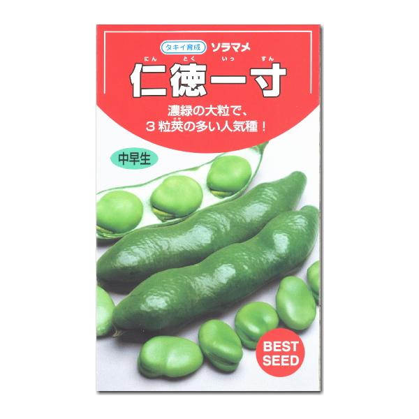 そらまめ 種子 仁徳一寸ソラマメ 　1dl