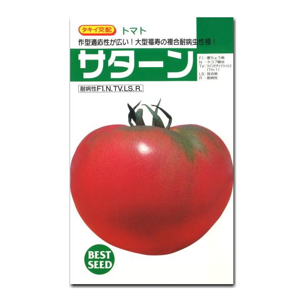 大玉トマト 種子 サターン 45粒 とまと
