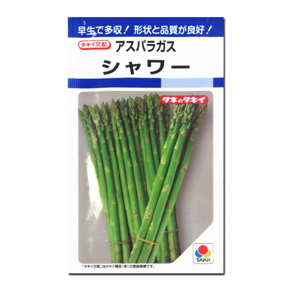 アスパラガス 種子 シャワー 1.2ml