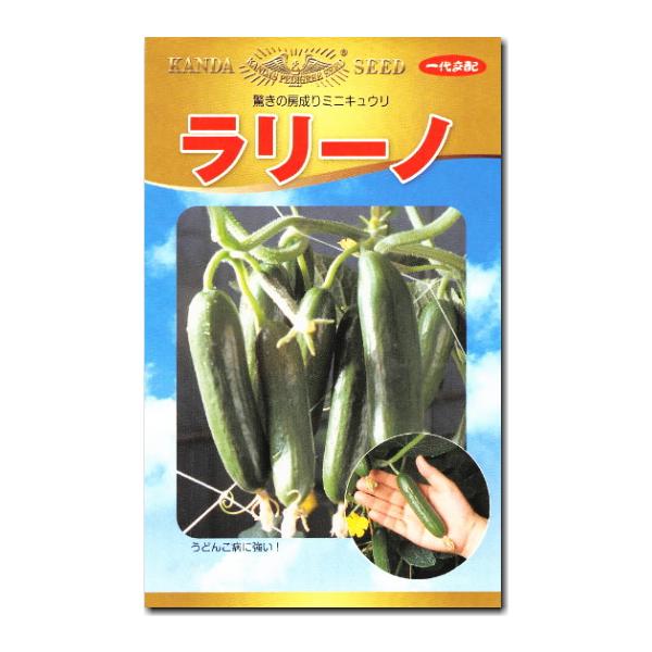 キュウリ 胡瓜 種子 ラリーノ 10粒 ミニきゅうり