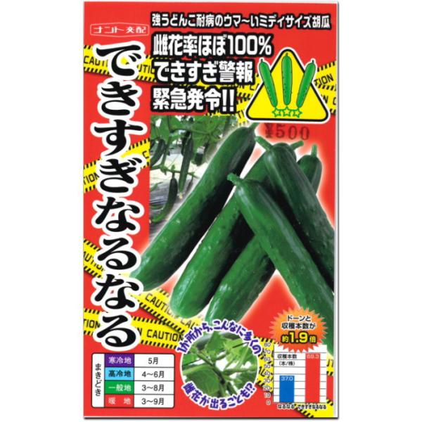 ミディサイズ キュウリ 胡瓜 種子 できすぎなるなる 14粒 きゅうり