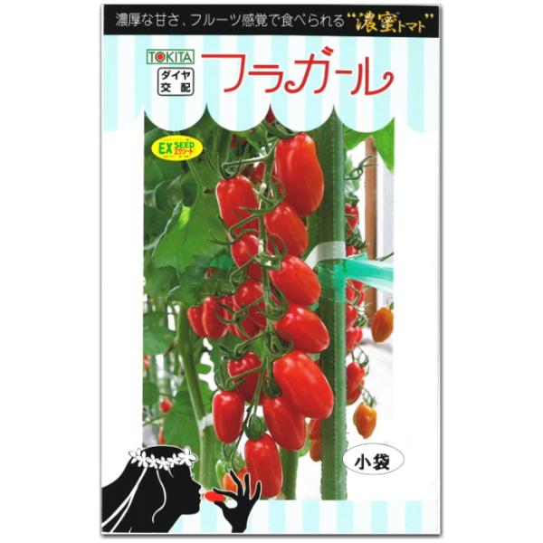 ミニトマト 種子 フラガール 8粒 とまと