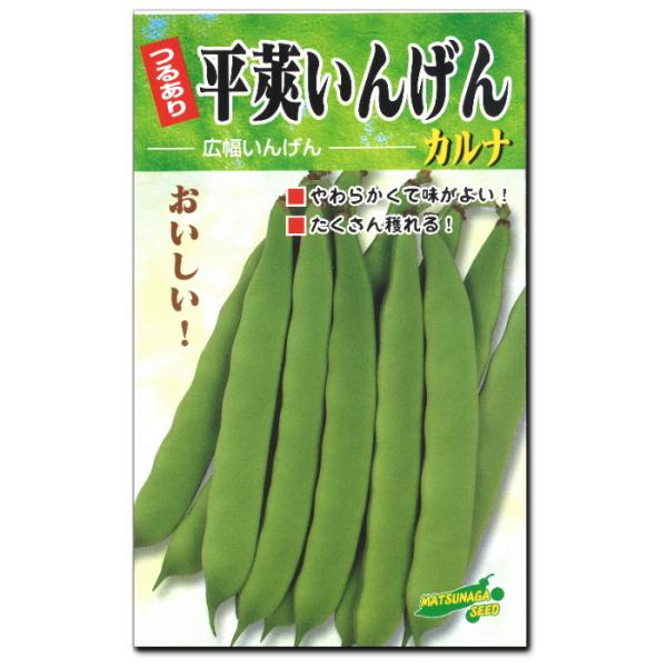 インゲン 種子 カルナ つるあり 30ml