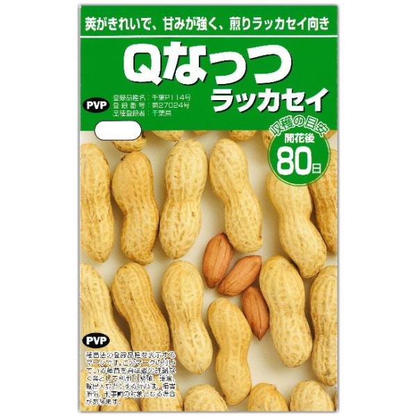Ｑナッツ