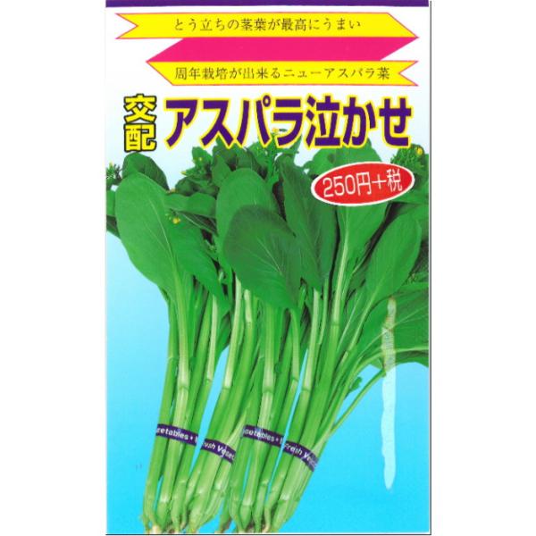 アスパラ菜 種子 アスパラ泣かせ 2ml