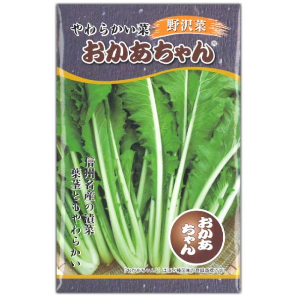 野沢菜 種子 おかあちゃん 35ml