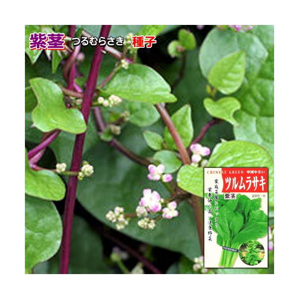 ★小袋種子の配送便と送料についてお願い小袋種子のみのご注文は、メール便にて全国一律200円で送付させて頂きます。ご注文時から概ね３日間ほどで出荷します。 代引き・着日時間指定は出来ませんので、予めご了承願います。