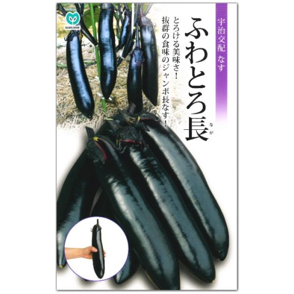 ふわとろ長（種）